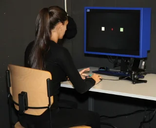 The psychophysics set-up.